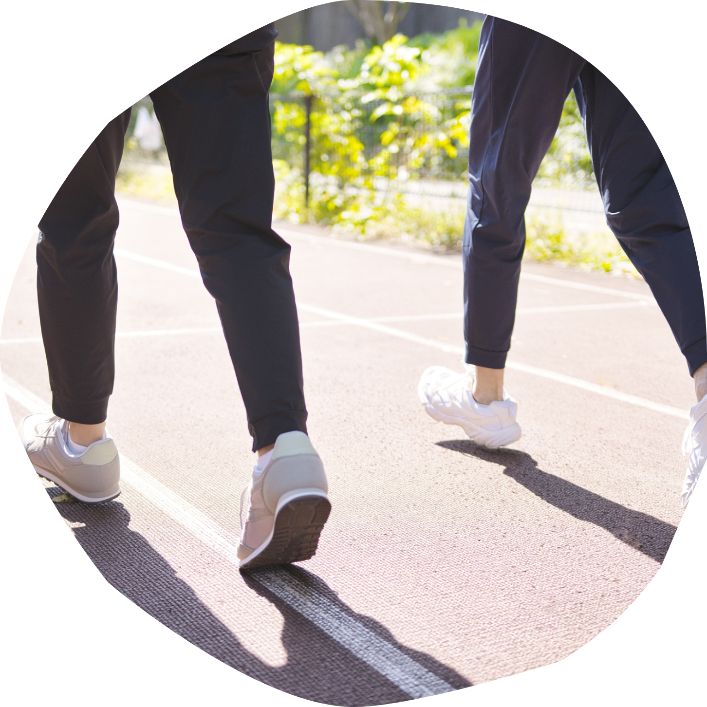 生活習慣の見直し