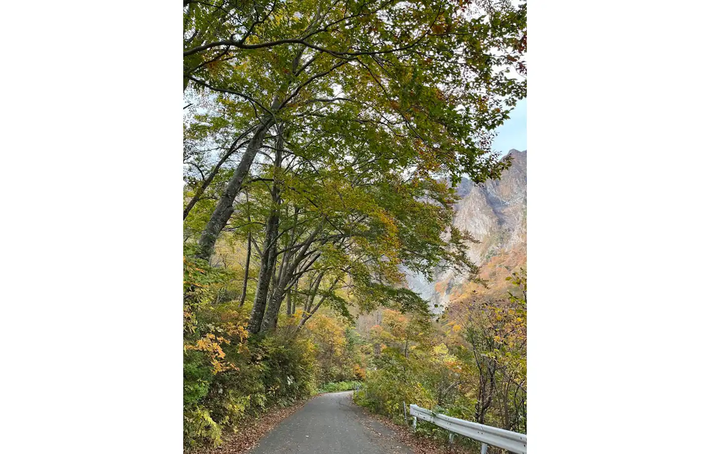 一ノ倉沢エコハイキング