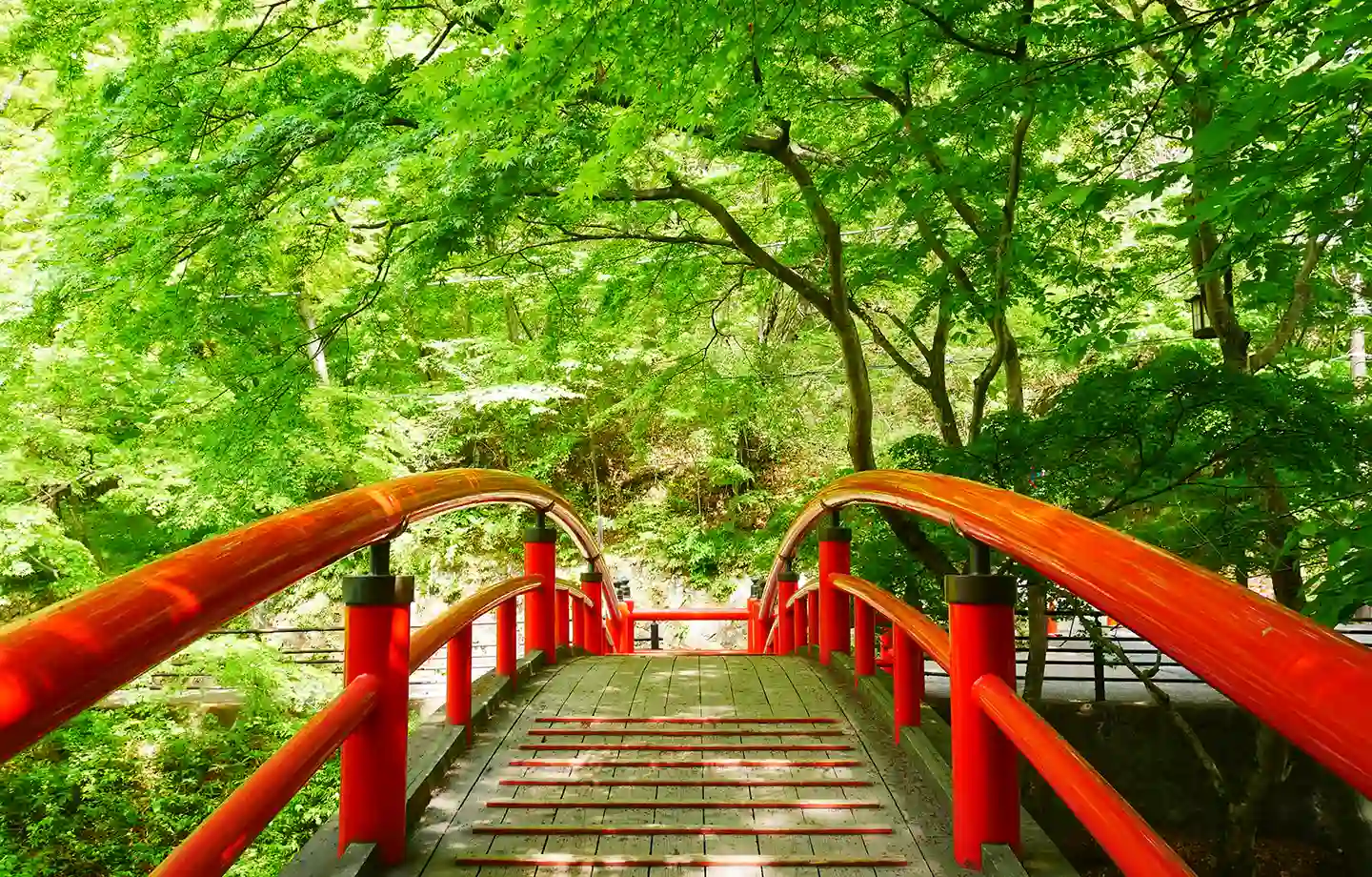 伊香保河鹿橋新緑ライトアップ