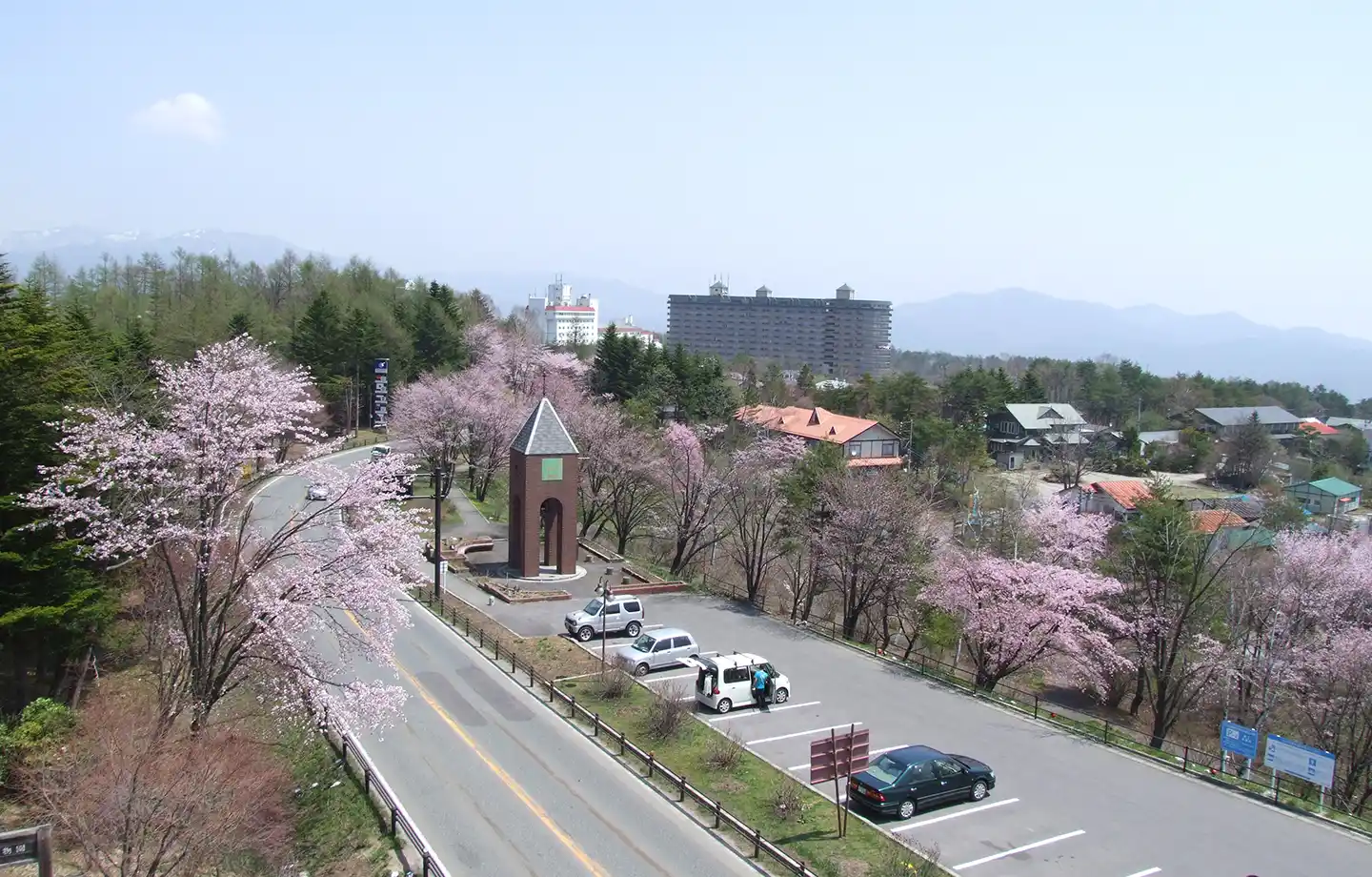 道の駅 草津運動茶屋公園　桜並木