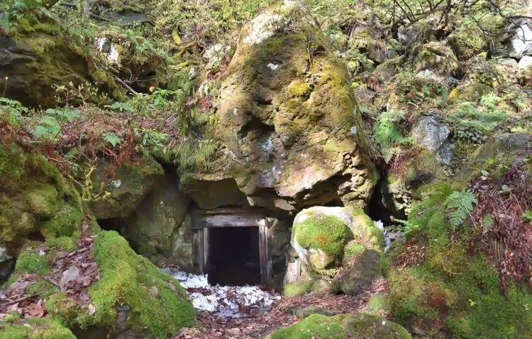 氷室ハイキング