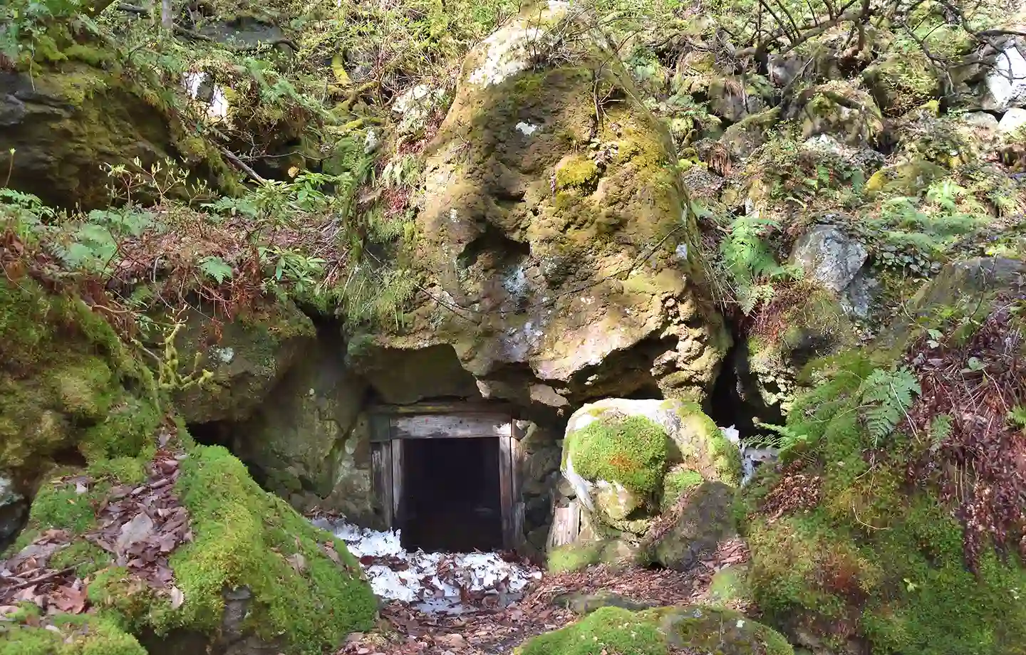 氷室ハイキング