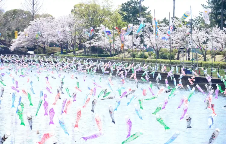 さくらとこいのぼりの里まつり