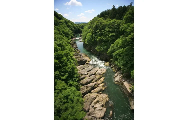 高津戸峡ハイキング（新緑）