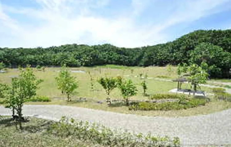 自然体験（ケルナー広場）