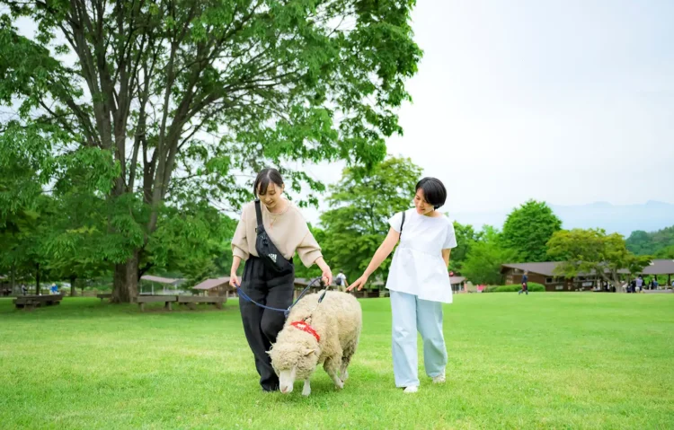 動物と触れ合うリトリート体験（伊香保グリーン牧場）