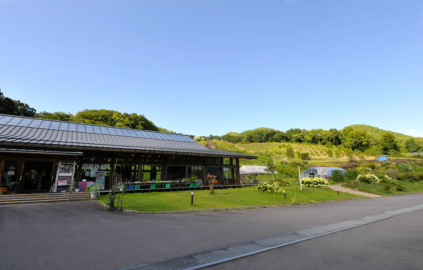 ドライフラワーとナチュラルガーデン