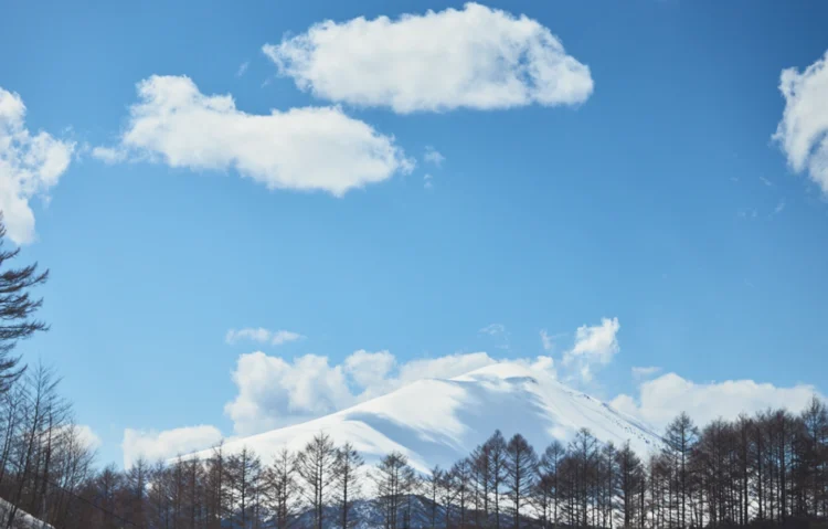 【雪景色に癒される～雪遊びと美食の休日～】森の静寂に身をゆだねる冬時間