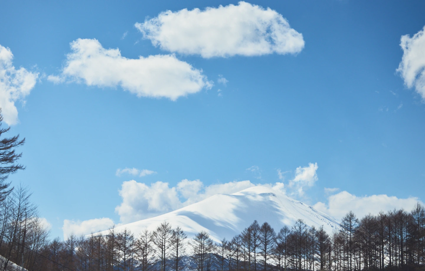 【雪景色に癒される～雪遊びと美食の休日～】森の静寂に身をゆだねる冬時間