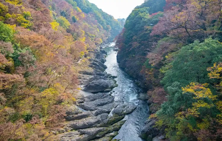 高津戸峡でハイキング