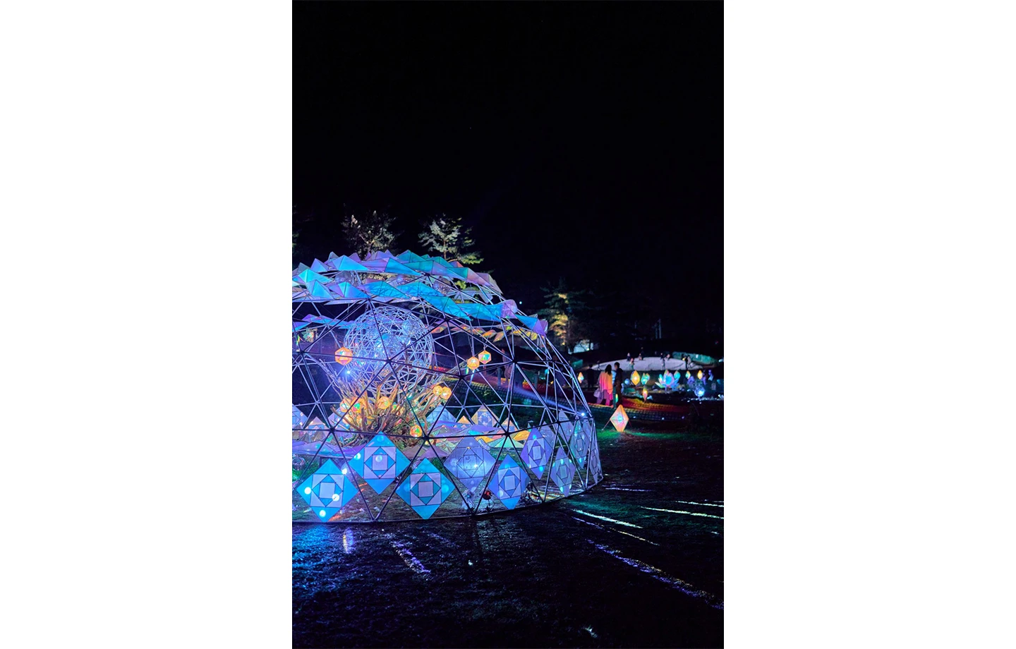 水と光のナイトガーデン