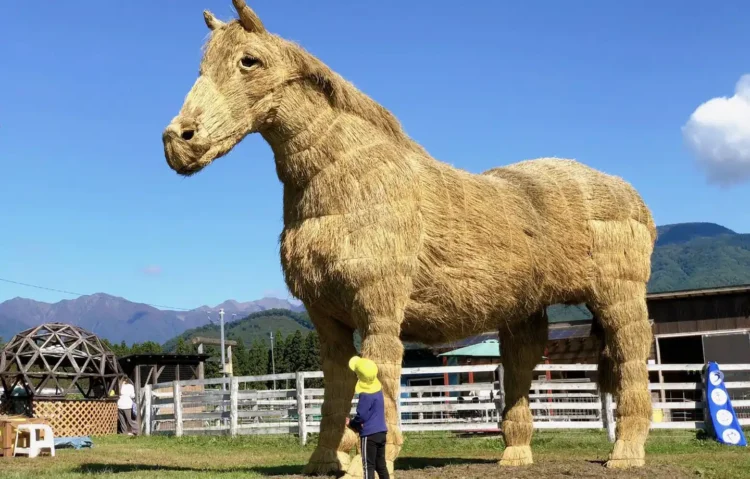 わらだくみまつり