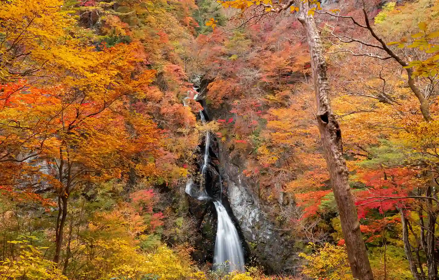 小中大滝と紅葉