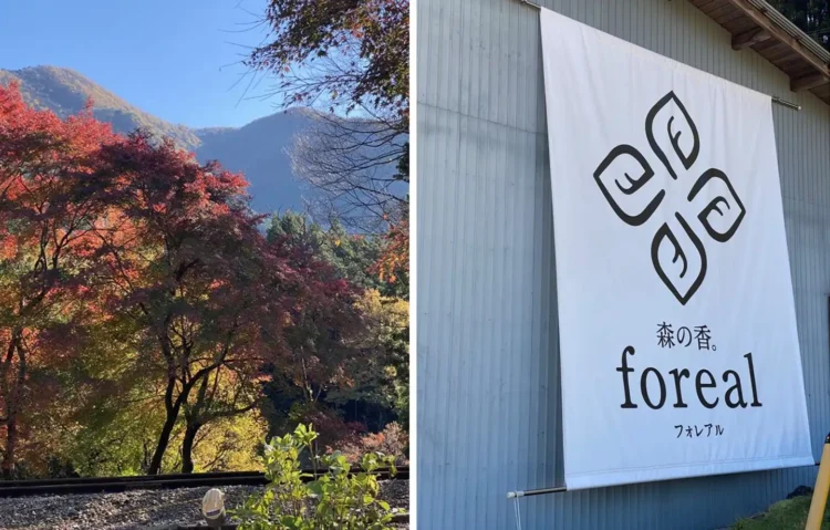 森の香。foreal