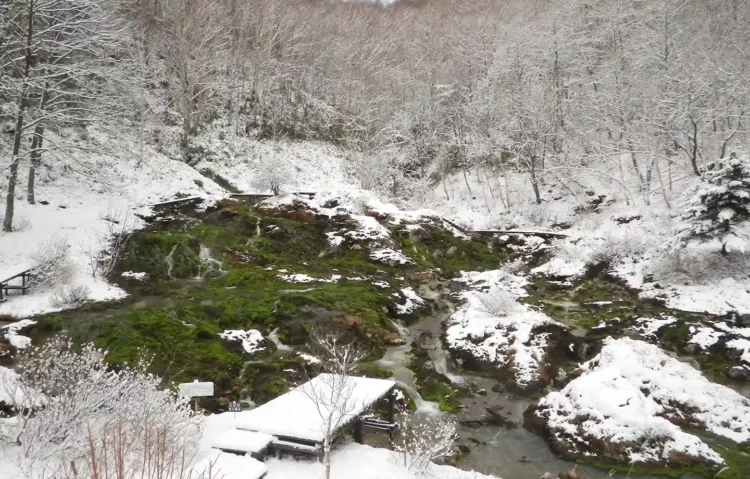 チャツボミゴケ公園スノーシューハイキング