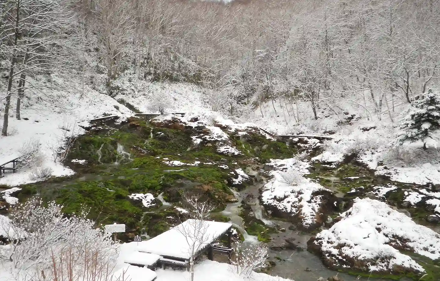 チャツボミゴケ公園スノーシューハイキング