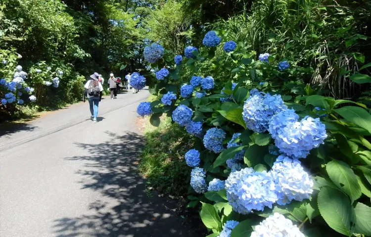 牛伏山ハイキング