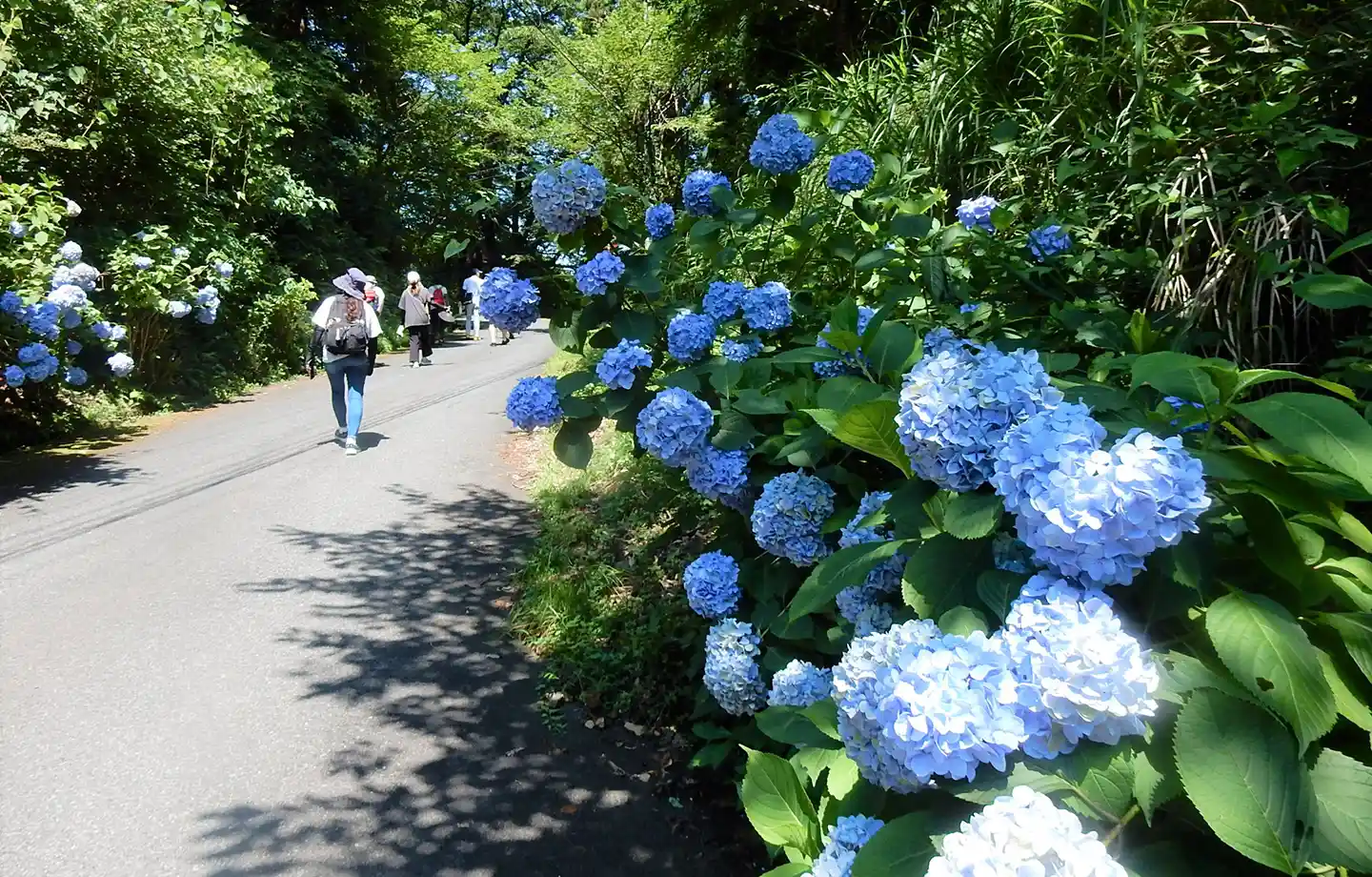 牛伏山ハイキング