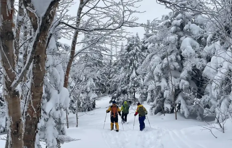 スノーハイク in 浦倉山